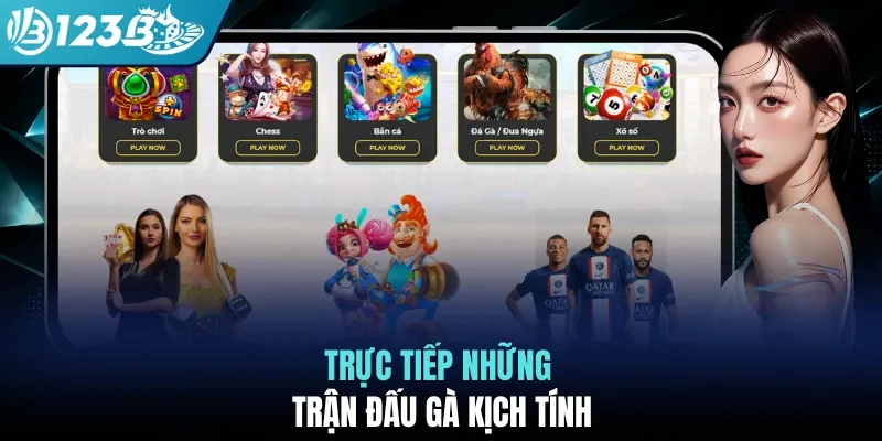 Trực tiếp những trận đấu gà kịch tính